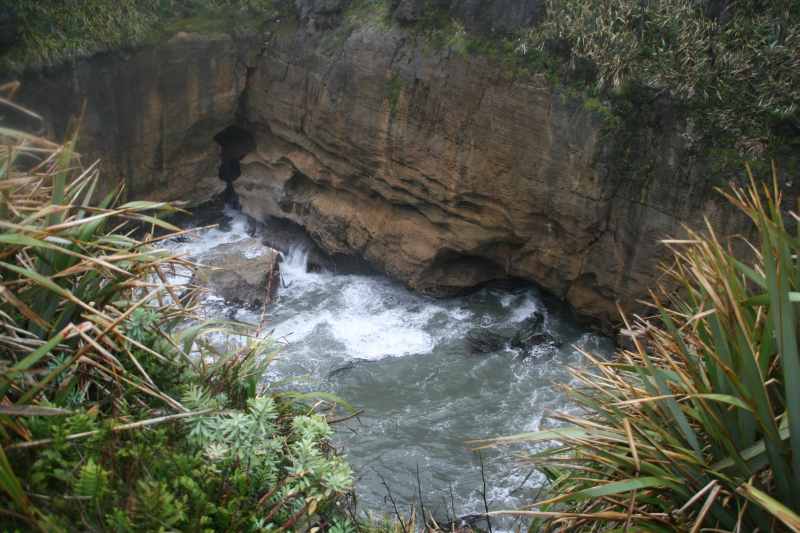 Nieuw-Zeeland 2011 - 1321